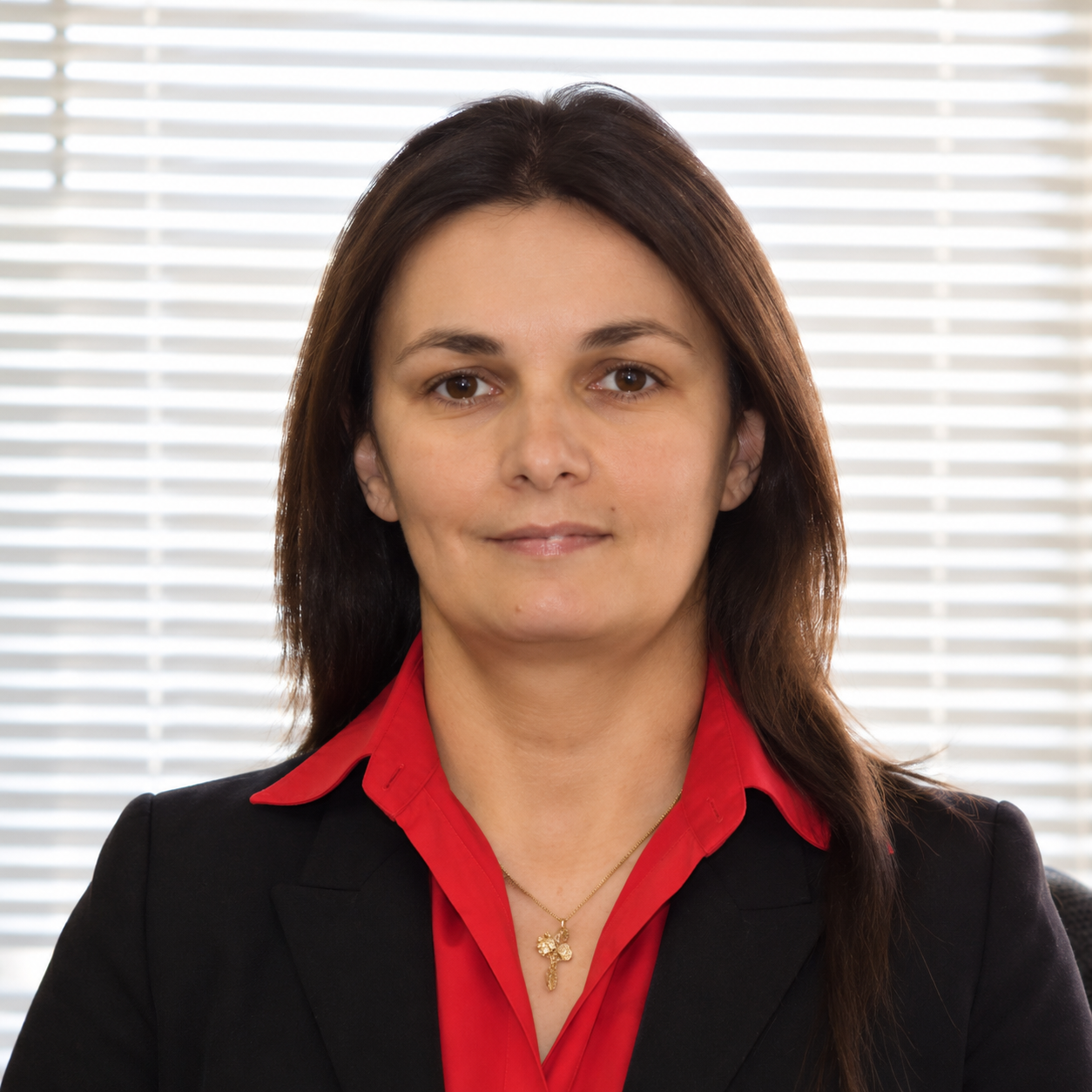Lourdes Acevedo